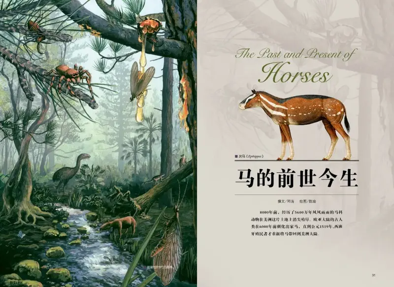 马的进化史 最早出现的马是怎样的？