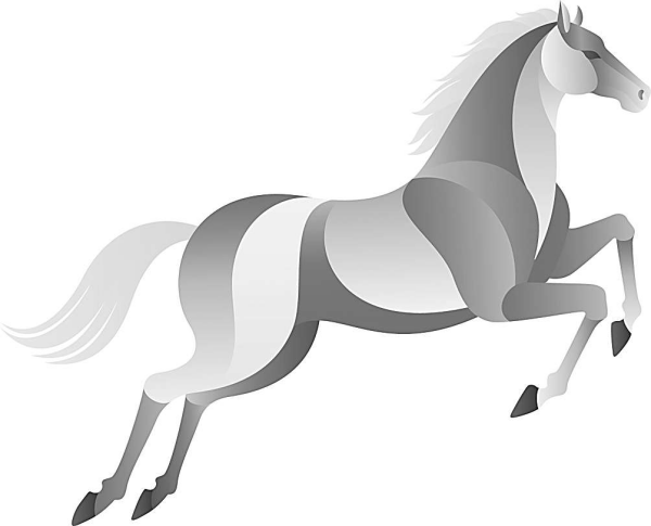 马为什么跑的那么快 从古生物化石中推断马如何演化