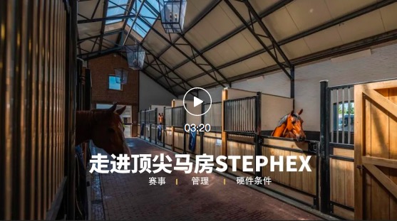 真正的顶尖马房没有豪华的装饰，只有对马匹的尊重 
