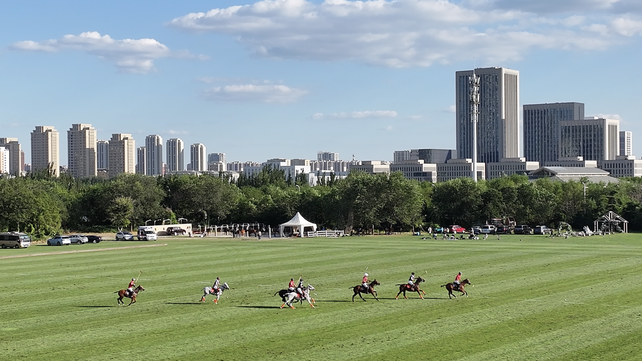 马术杂志杯中国马球精英赛13年传承，快鱼队夺冠 