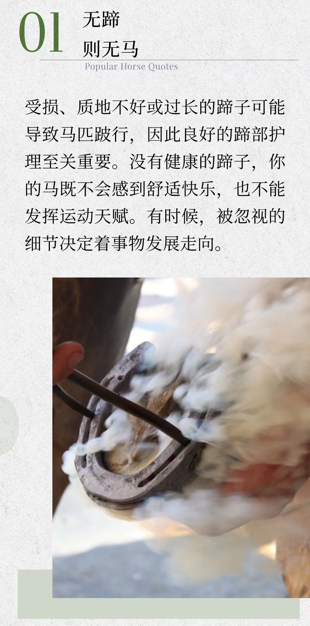 这六句关于马的谚语，饱含哲学，每个骑手都应该知道 