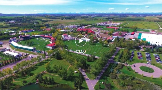 传统与创新，在这里不是选择题 