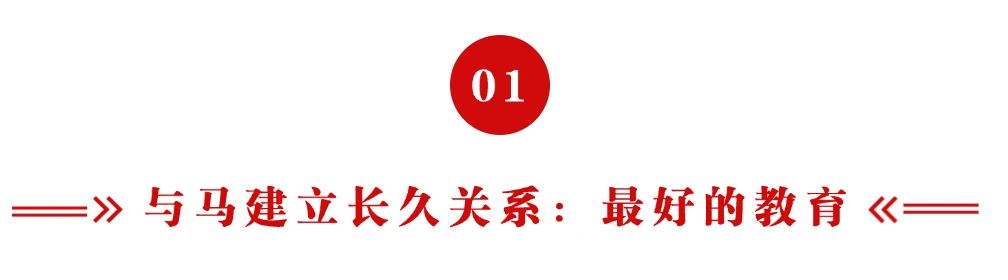 驭马新年，平衡致远：马术中的生活哲学 