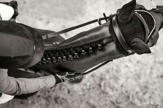 人工智能DeepSeek锐评中国马术行业，感觉有点狠 