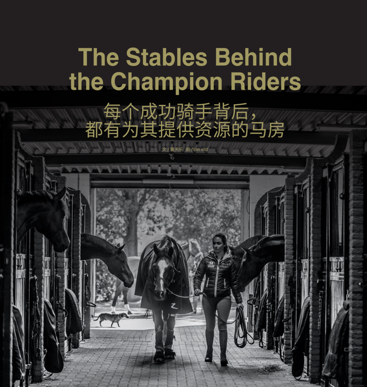 每个功成名就的骑手背后，都有一个为其提供资源的马房 