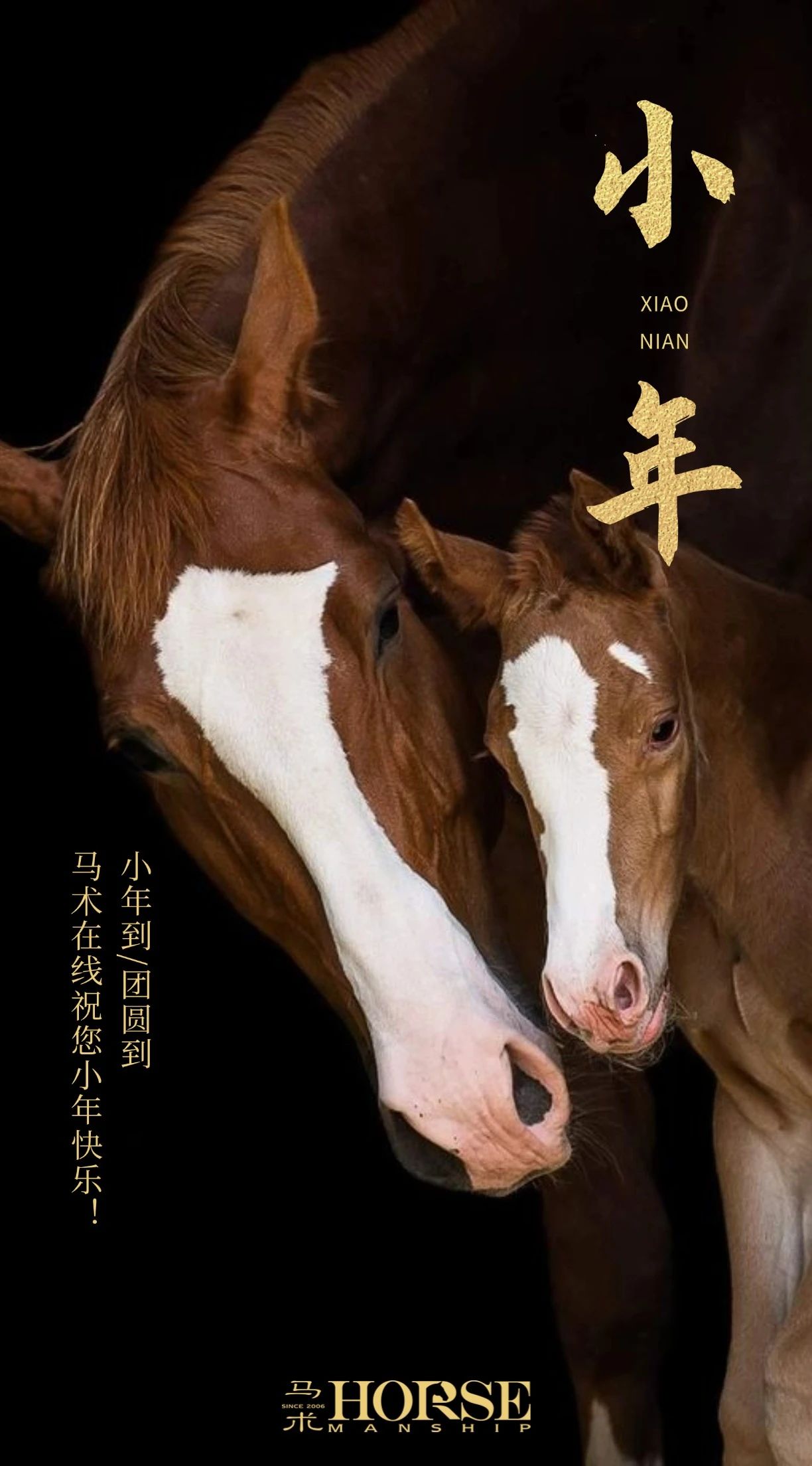 冬季护理马匹的10个常见误区 