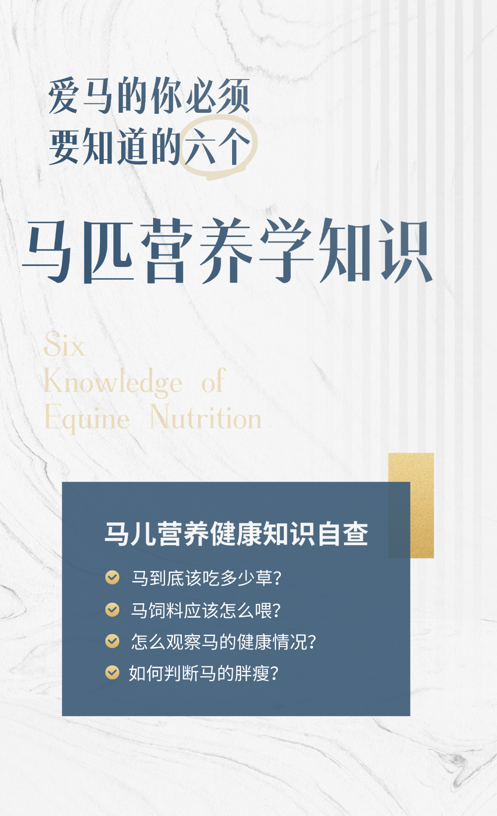 爱马的你必须要知道的六个马匹营养学知识 