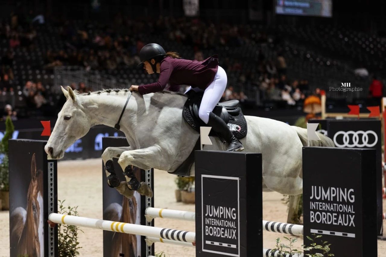 当缰绳消失，信任成为唯一的语言 