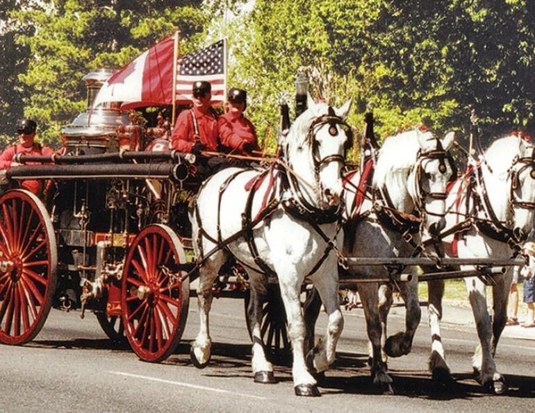 百年前火场中的“四蹄英雄” 