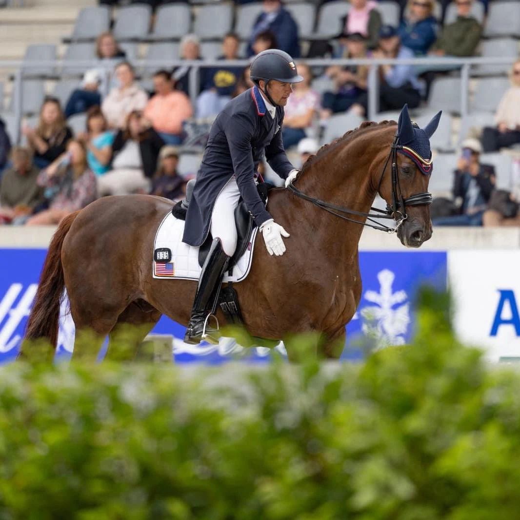 掌控节奏：如何高效制定盛装舞步赛前的热身计划 