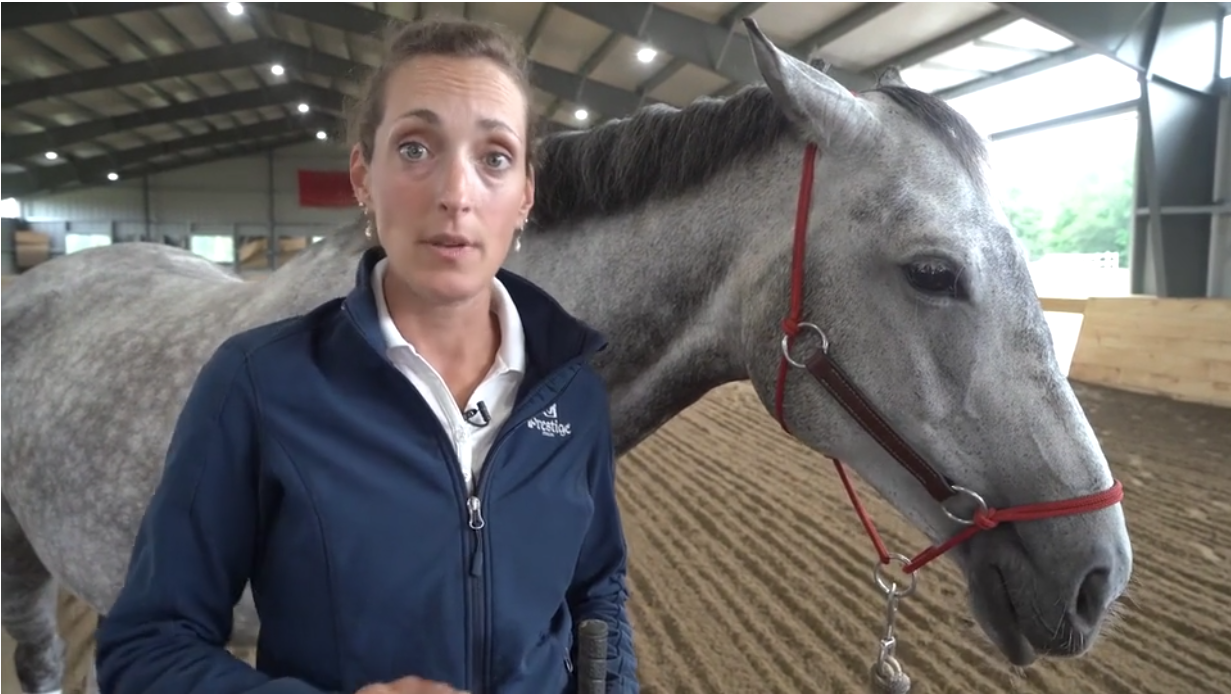 平地训练：建立信任，改善联系 