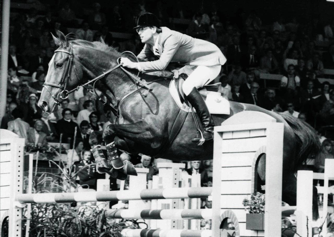 用实力回应质疑，“巨马”逆袭成为障碍世界冠军！ 