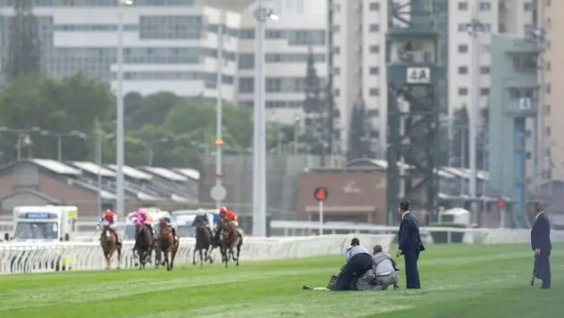 惊险！“香港杯”比赛中有观众手举横幅，冲入跑道...