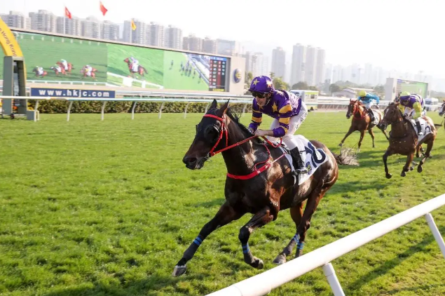 “星际快车”强势夺冠　助蔡约翰第六度扬威洋紫荆短途锦标