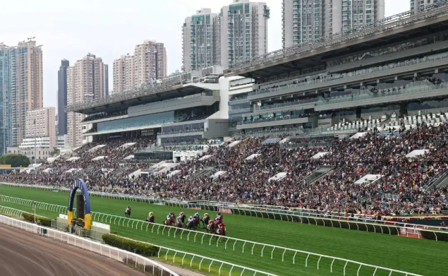 17.13亿！近五万人入场见证，“风云武士”勇夺华商会挑战杯