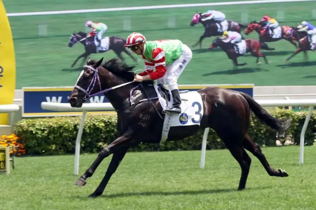 打吡之路：苏伟贤盼“喜尊龙”可挑战四岁马经典赛事系列