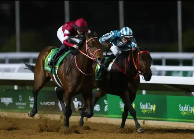 五匹中国香港赛驹报名全球最高奖金赛事“沙特杯”！