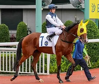 豪取三连胜，这匹佳驷冲击四岁马系列赛事！