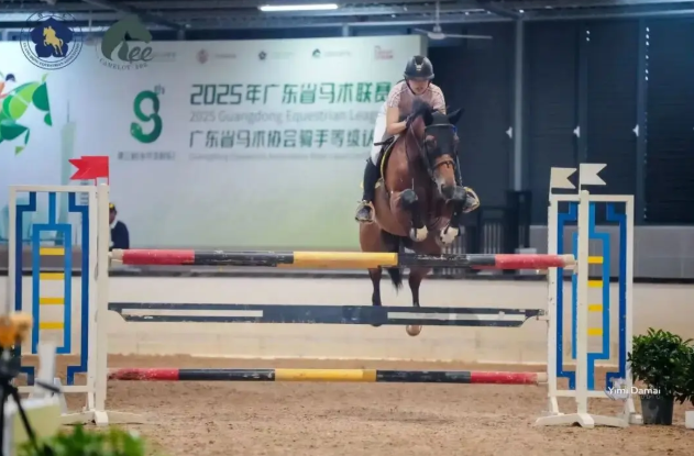 【重磅】谁将成广东马术英雄？2025年度四大奖项申报开启