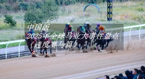【盘点】2025年度十大赛马事件重磅回放（中国版）！