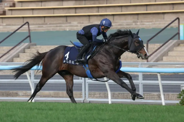 “神志勇进”将在中国香港迎来告别战！