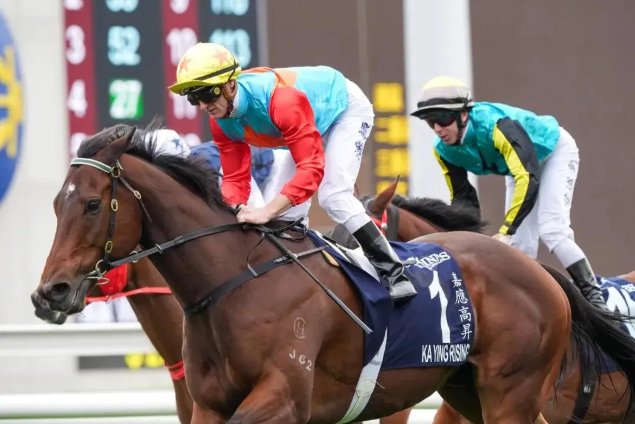 “‘嘉应高升’以1-20的赔率获胜，真的有意思吗？”