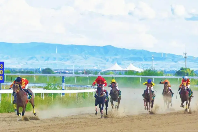 2026年国内赛马跑几场？中马协公示赛事承办单位